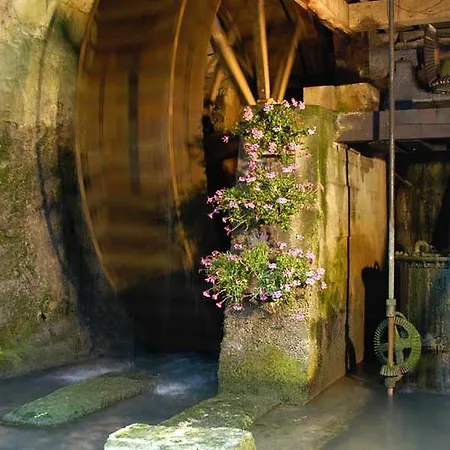 Moulin De La Fleuristerie Bed and Breakfast