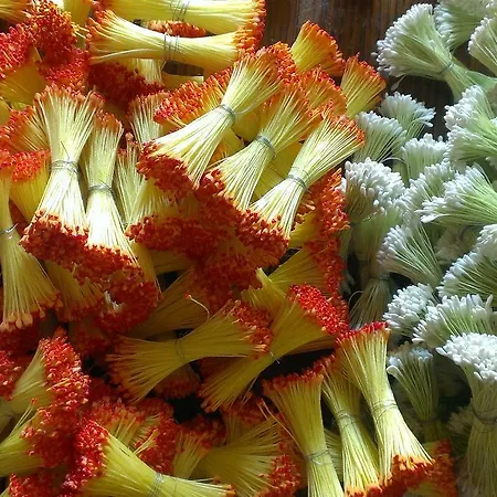 Moulin De La Fleuristerie Bed and Breakfast *