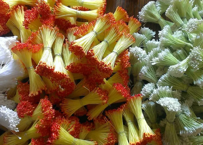 Moulin De La Fleuristerie Bed and breakfast *